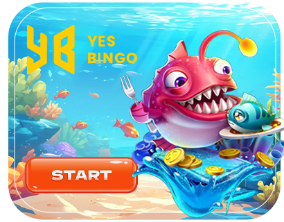 YB Fish